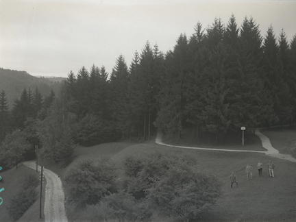 Gozdna pot pri gradu - 74  1046